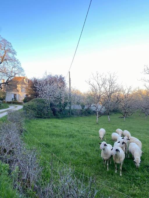 La Grangette De Paunac Cazillac Kültér fotó